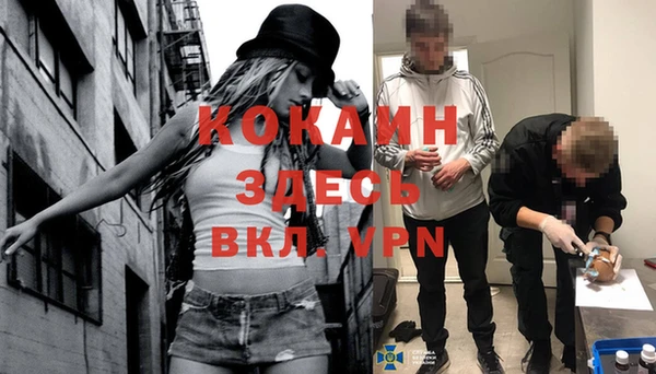 кокс Алексин