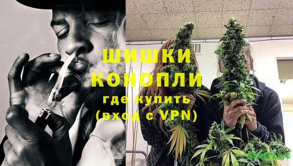 винт Абаза