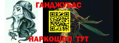амф Новозыбков