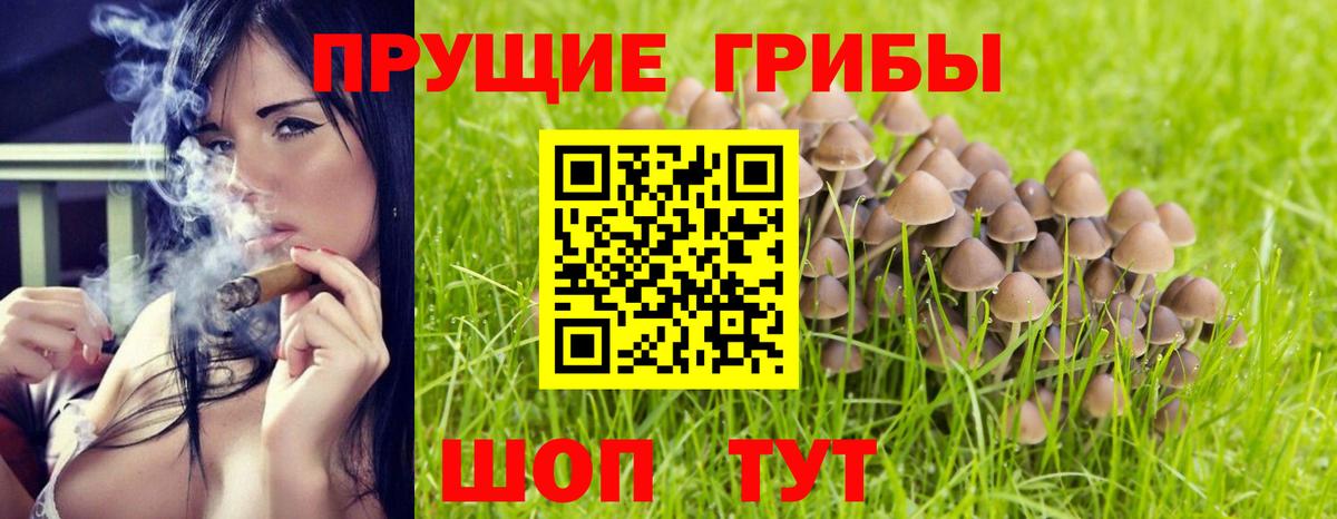 Галлюциногенные грибы ЛСД Сорочинск