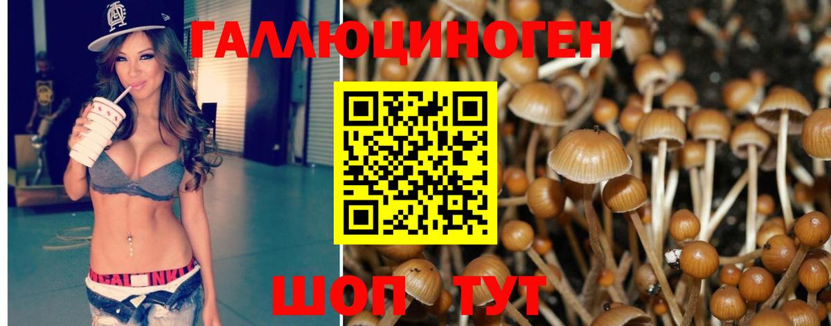Галлюциногенные грибы ЛСД  Галлюциногенные грибы Cubensis  Сорочинск  Вход с VPN 